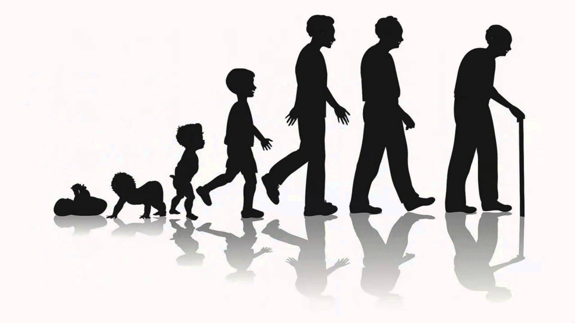 Når bør du begynne å ta NAD⁺? Slik vet du at tiden er inne